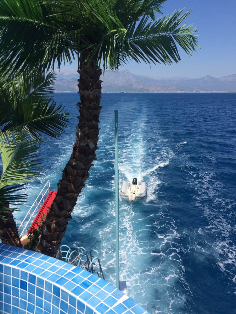 Photograph by Татьяна