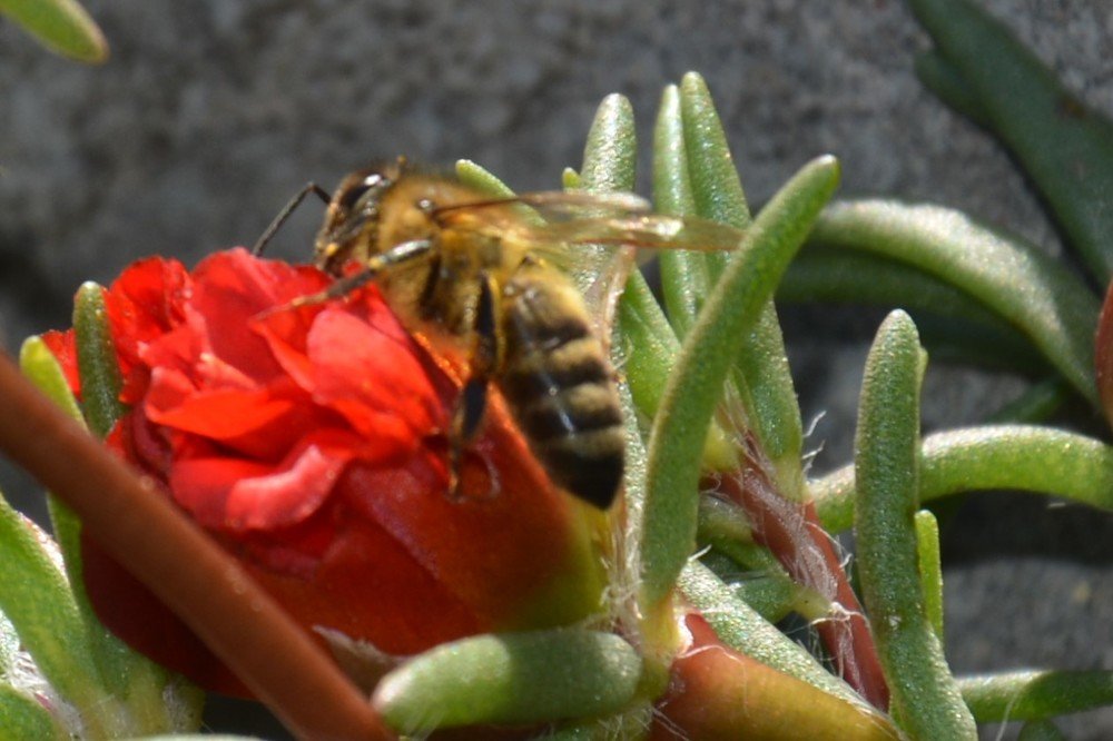 Photograph by Анатолий Зеленский