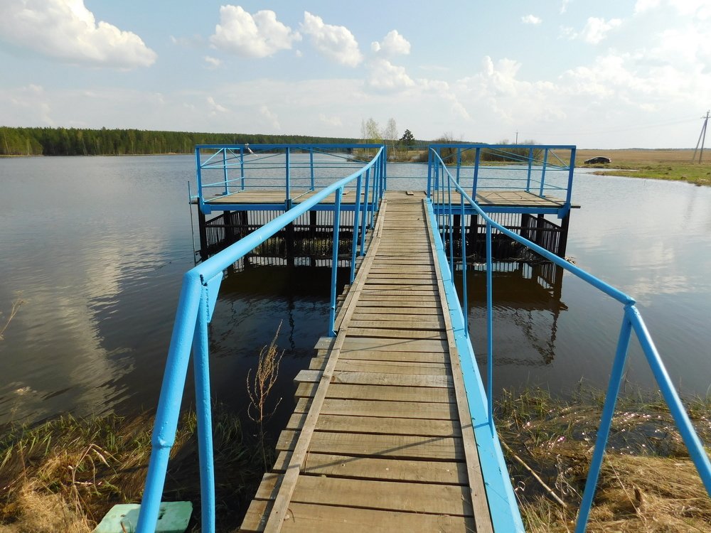 Photograph by Чкареули Светлана