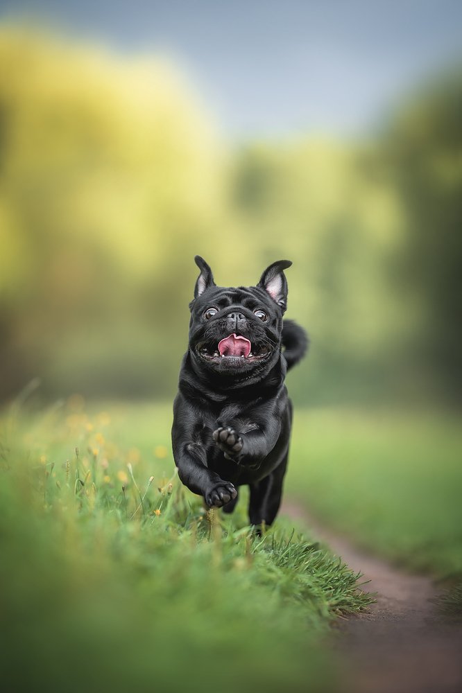 Photograph by Людмила Богуш