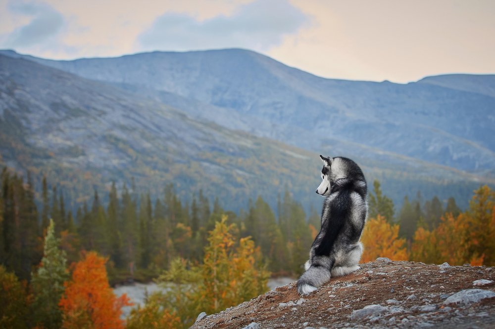 Photograph by Лана Полякова