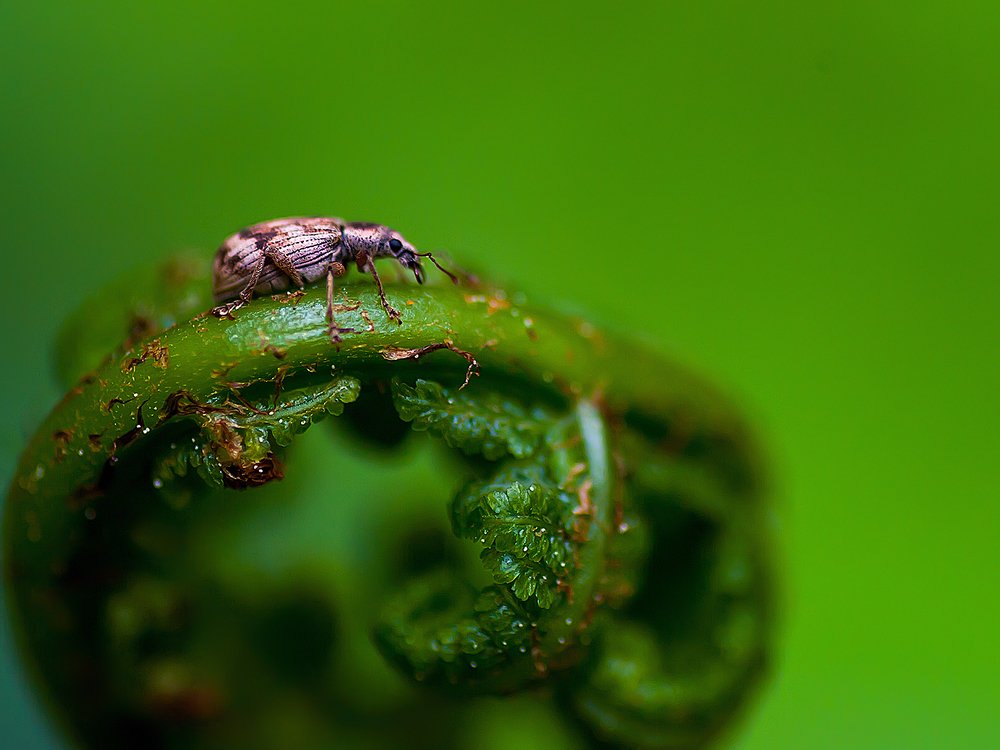 Photograph by Юлиана Джус