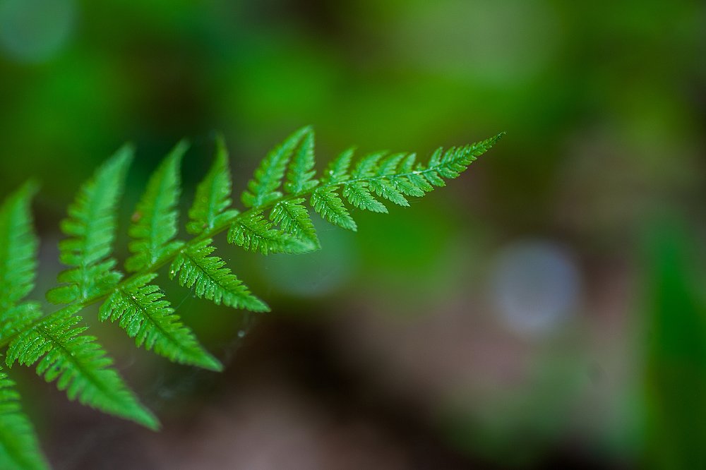 Photograph by Юлиана Джус