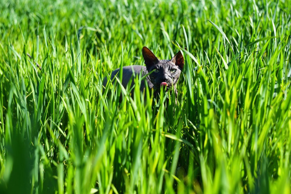 Photograph by Юлия Осипенко