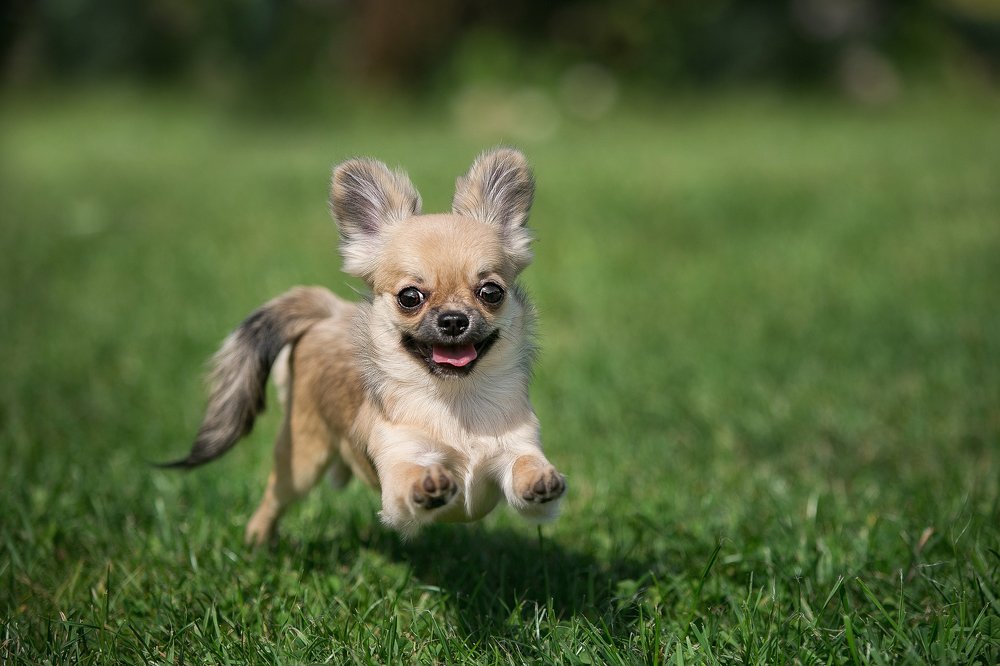 Photograph by Margarita  Davydova