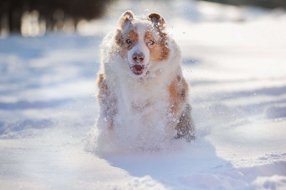 Photograph by Margarita  Davydova