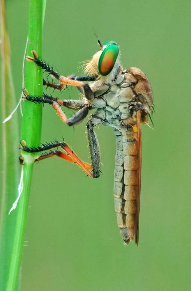 Photograph by Galla Jakadamar