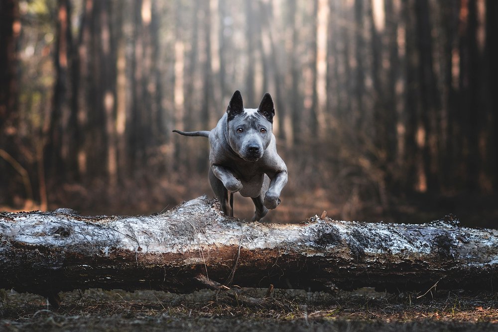 Photograph by Евгений Крутиков