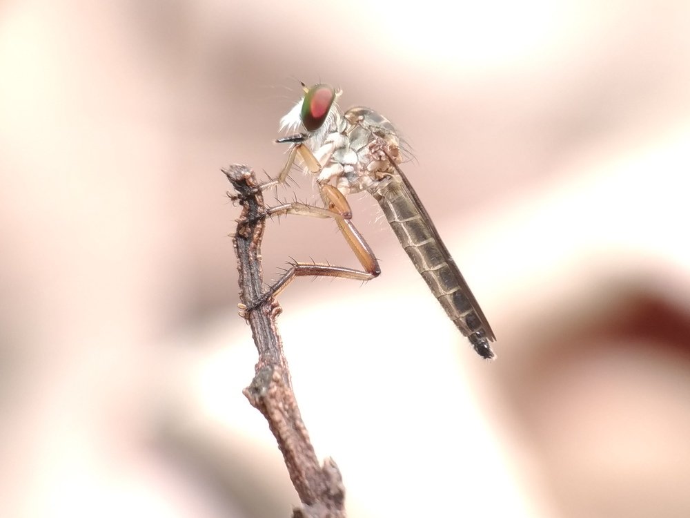 Photograph by Galla Jakadamar