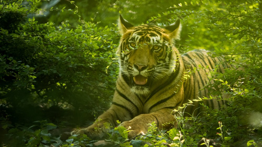 Photograph by Parekh Arpit