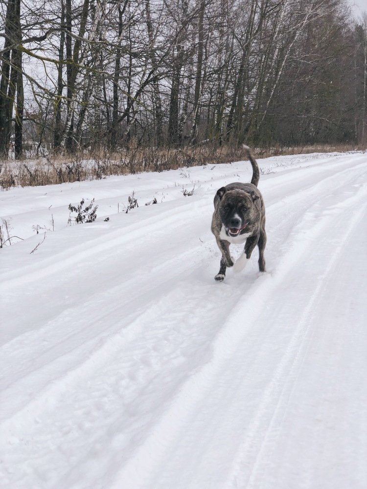 Photograph by Nastja Asipkina