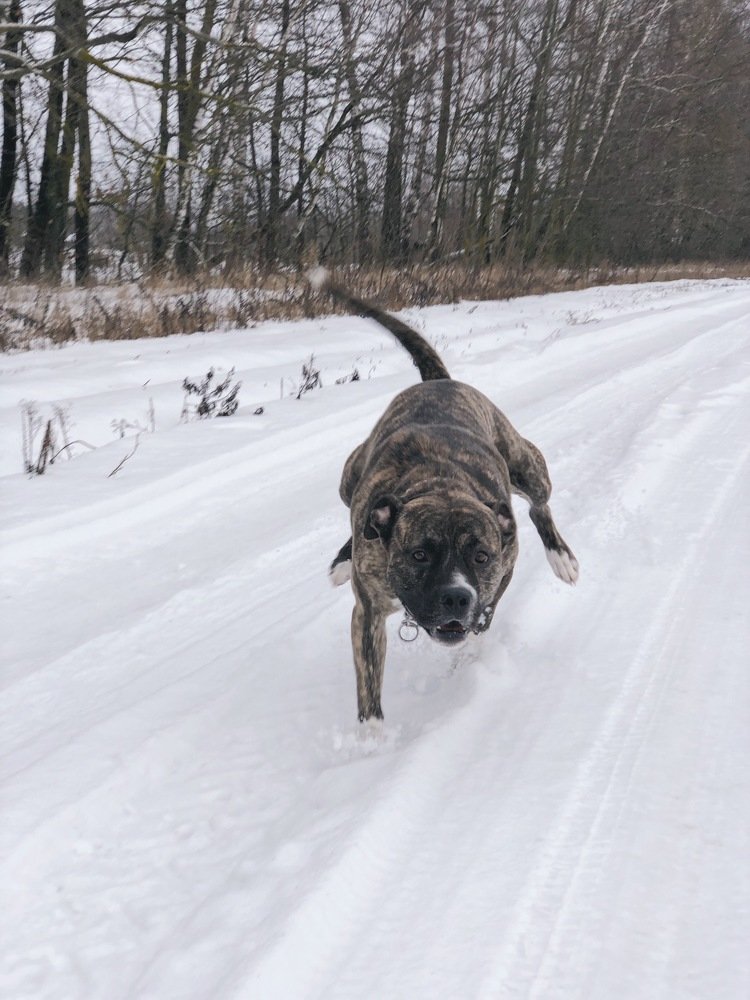 Photograph by Nastja Asipkina