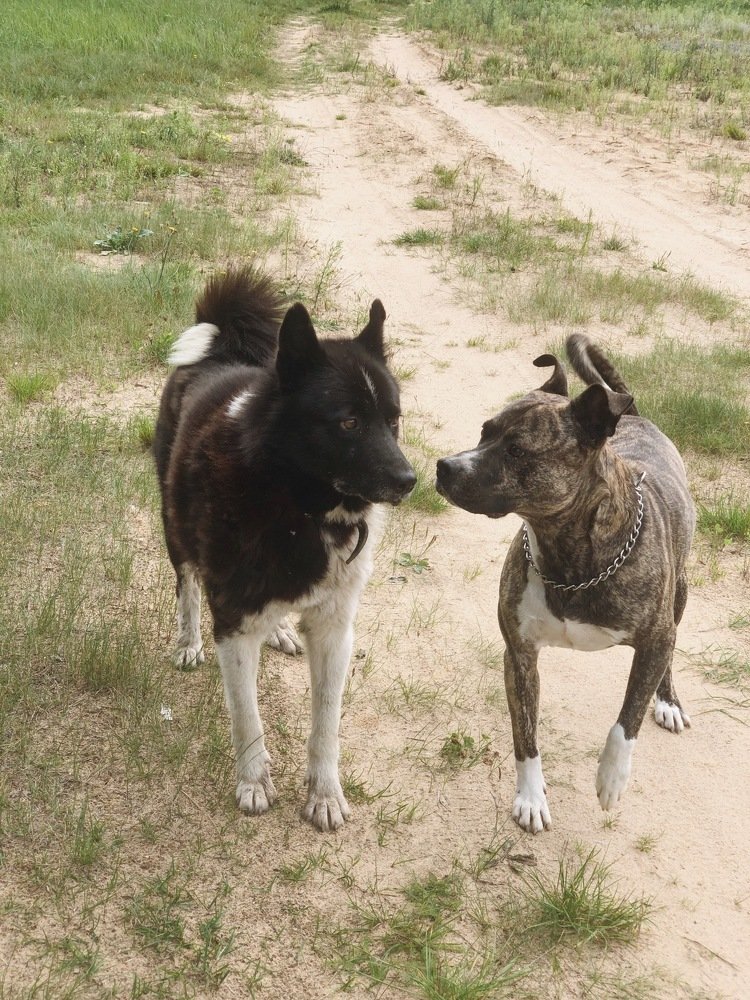 Photograph by Nastja Asipkina