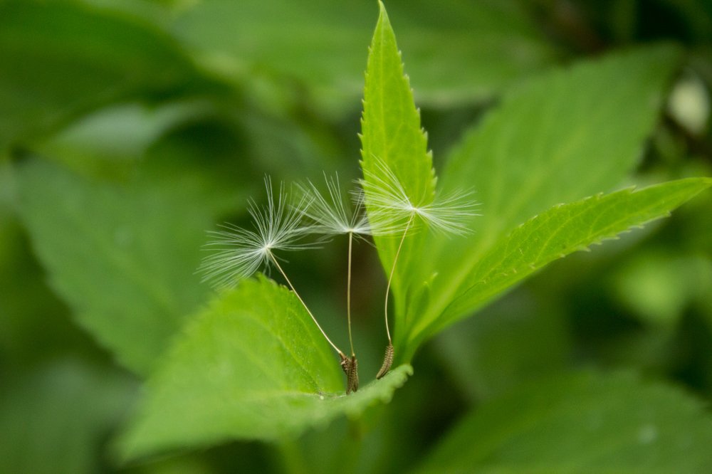 Photograph by Andrew Mikhaylov