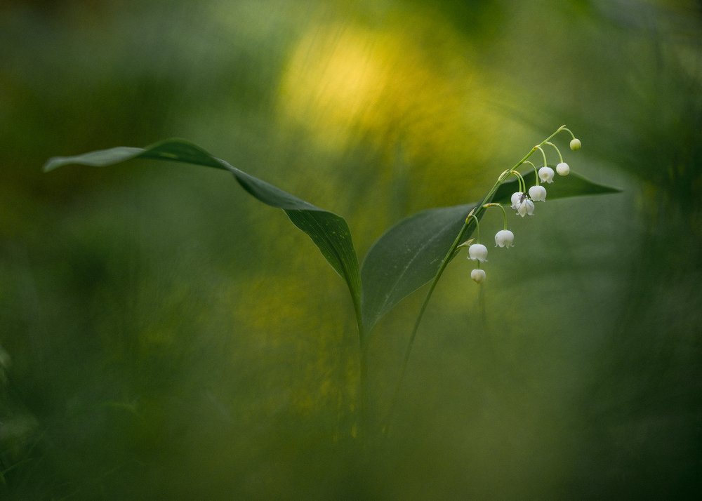 Как картина