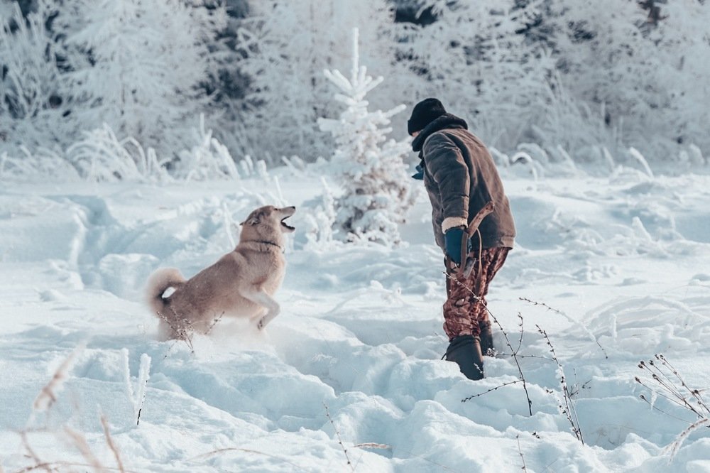 Photograph by Диана Нигматова