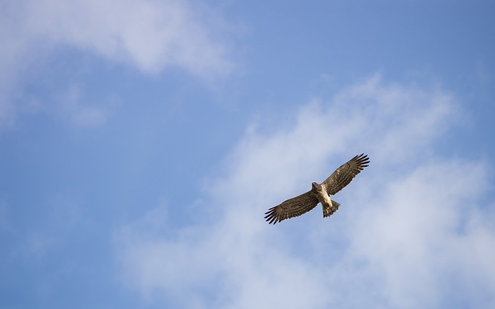 Photograph by Parekh Arpit