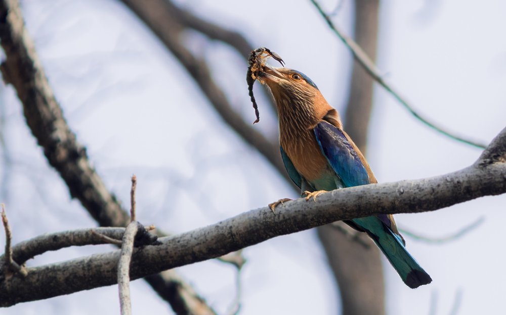 Photograph by Parekh Arpit