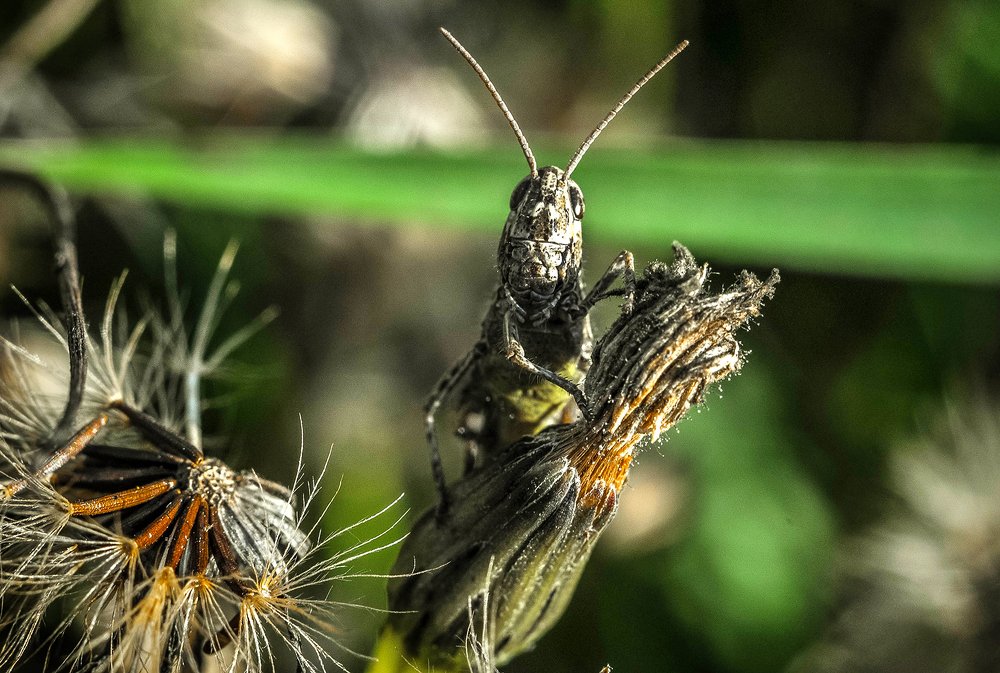 Photograph by Олеся zme