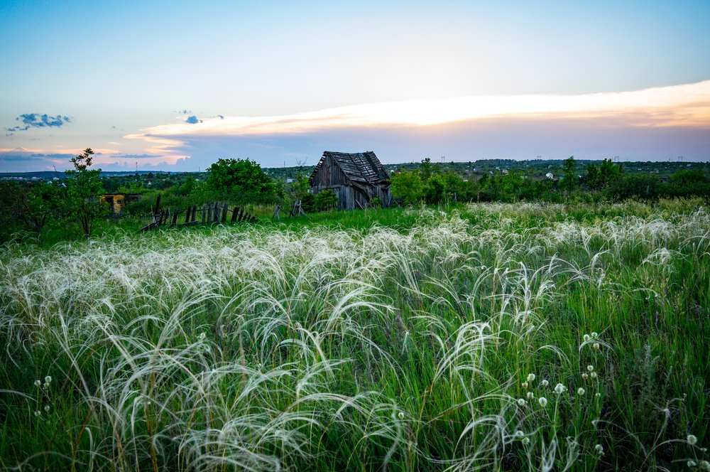 Избушка в зелени