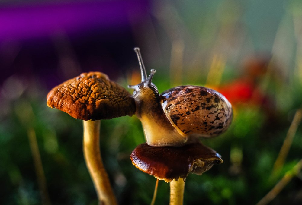 Photograph by Олеся zme