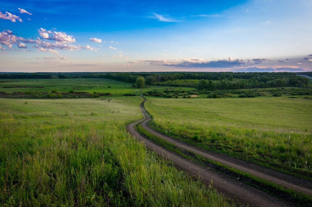 Дорога в зелёную чащу