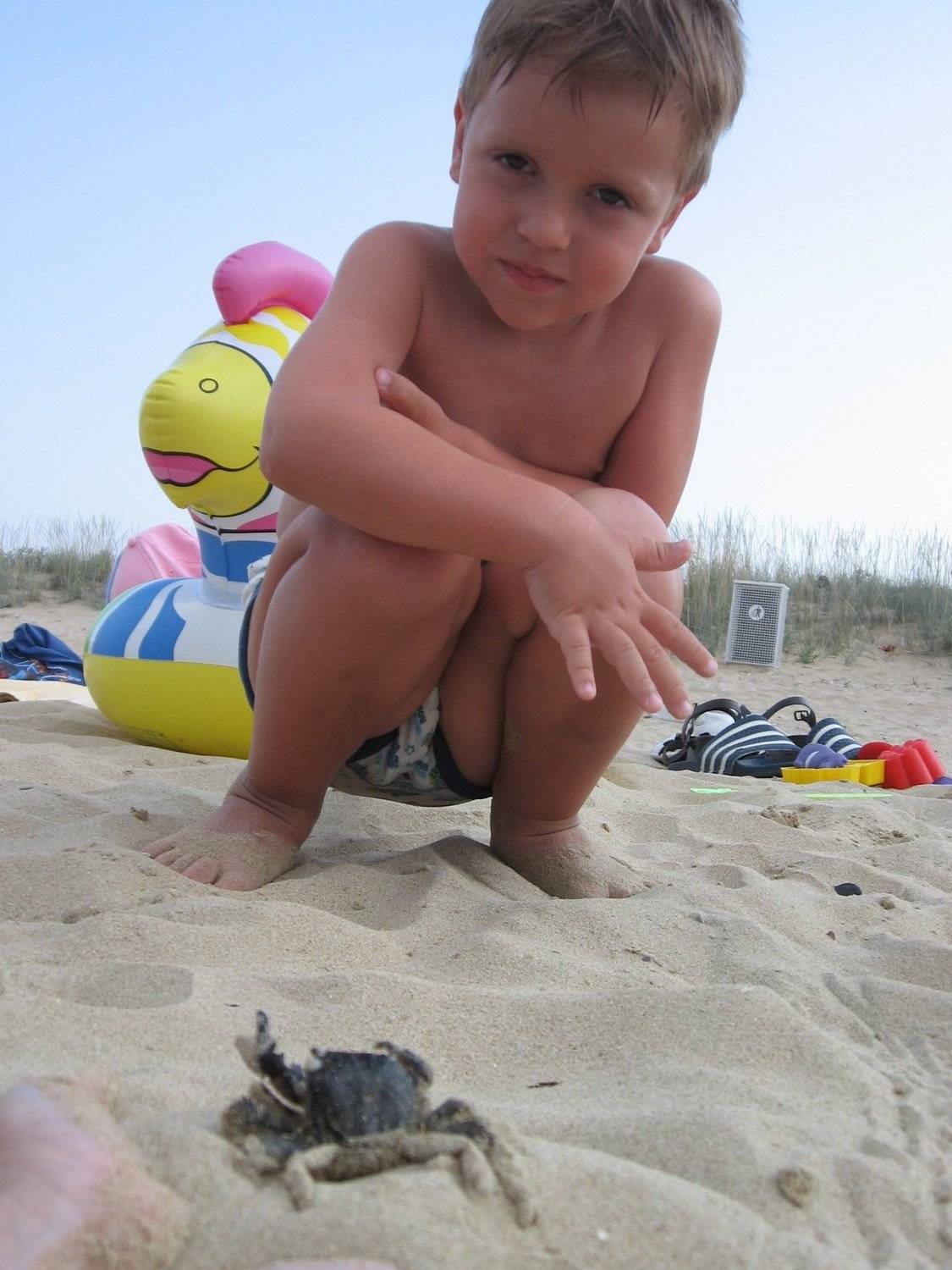 Photo #3619243