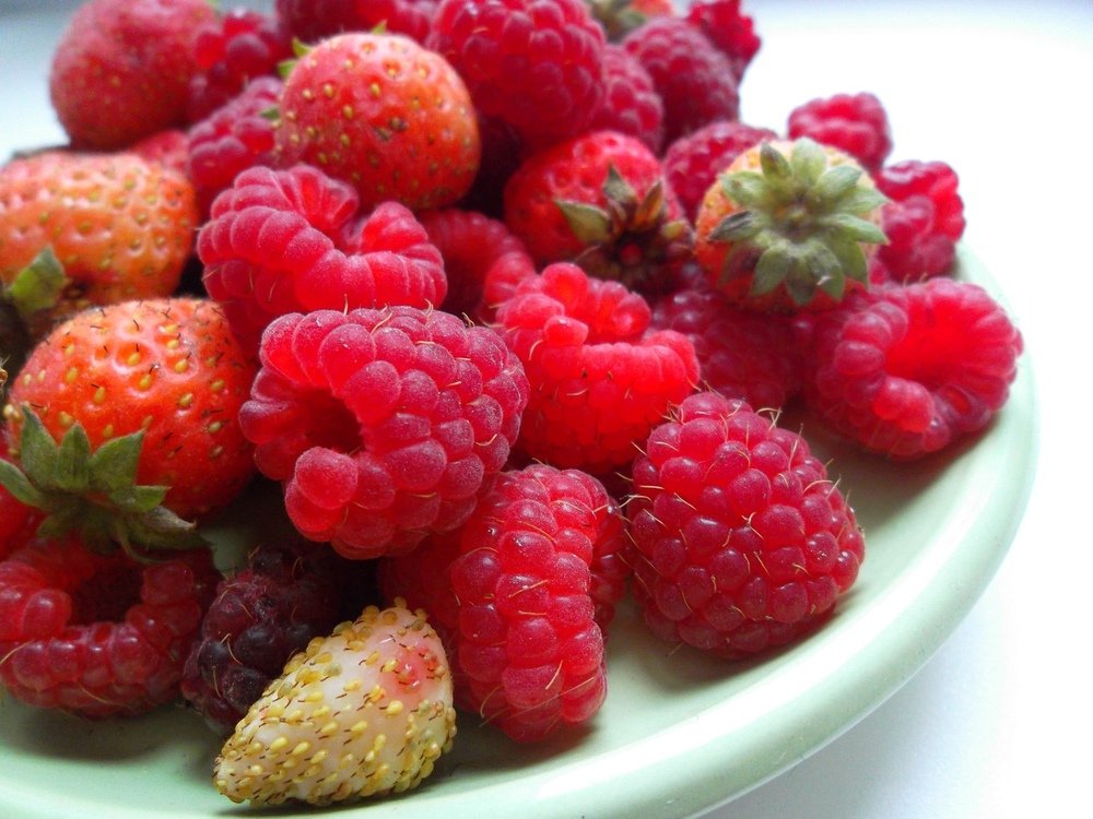 Photograph by Наталья Цуран