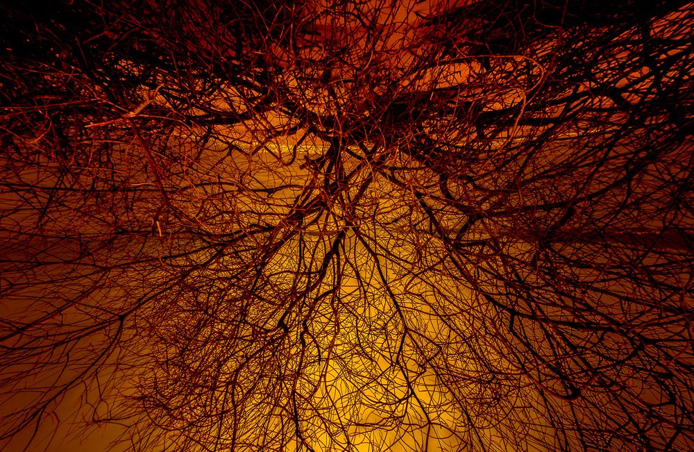 Photograph by Rodrigo Silveira