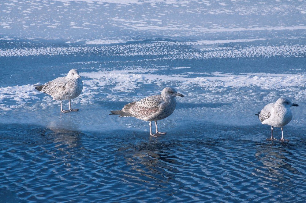 Фотография автора Михаил Балаев
