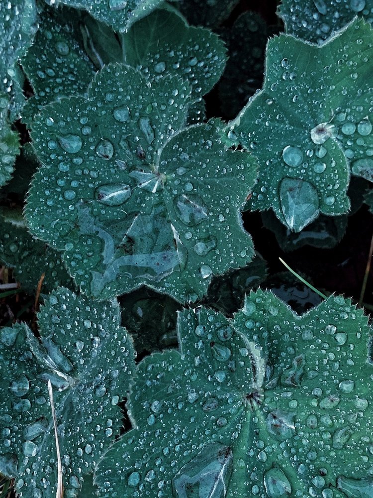 Photograph by Ася Кострова