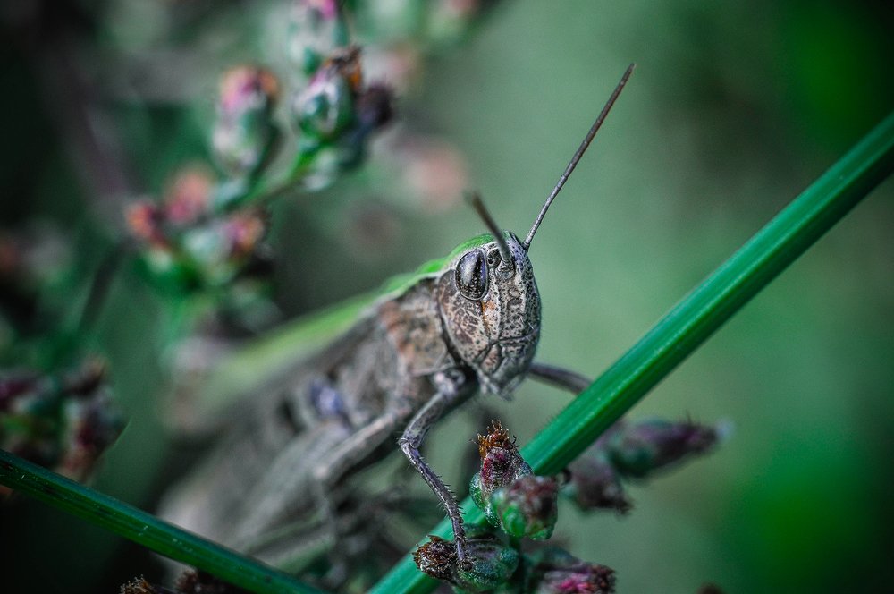 Photograph by Олеся zme