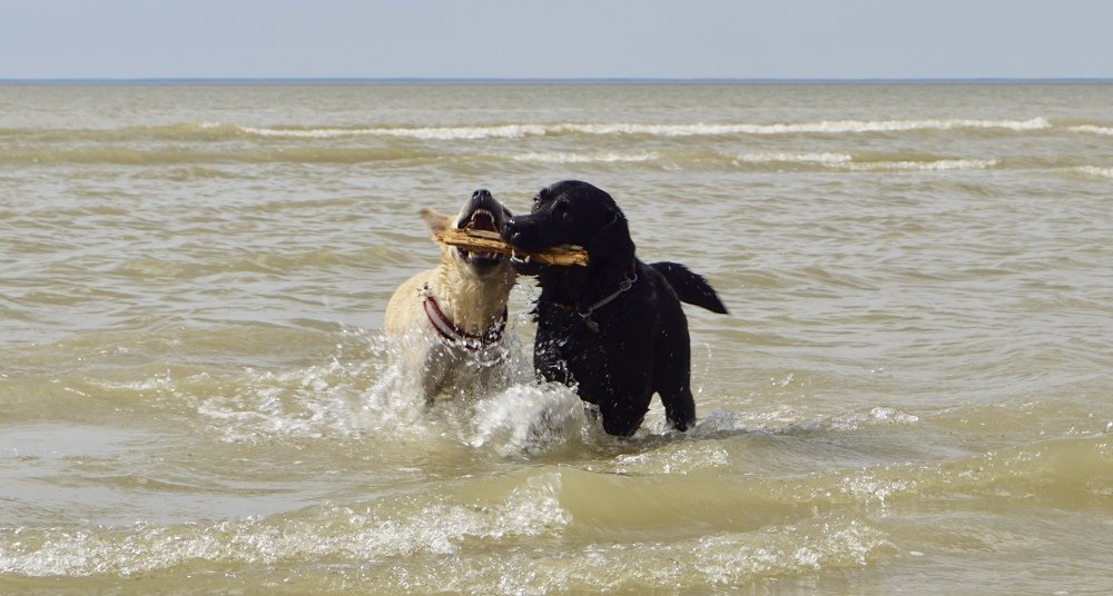 Photograph by Toomas Tõnisalu