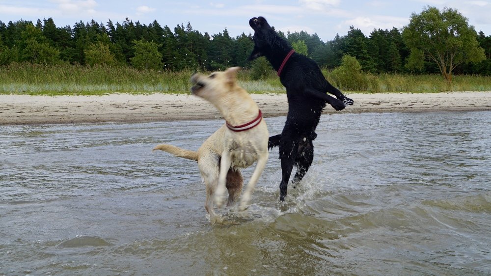 Photograph by Toomas Tõnisalu