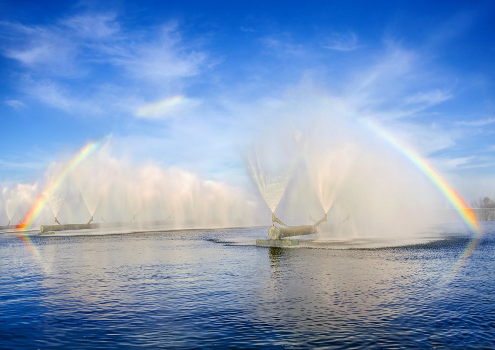 Photograph by Ольга Усова