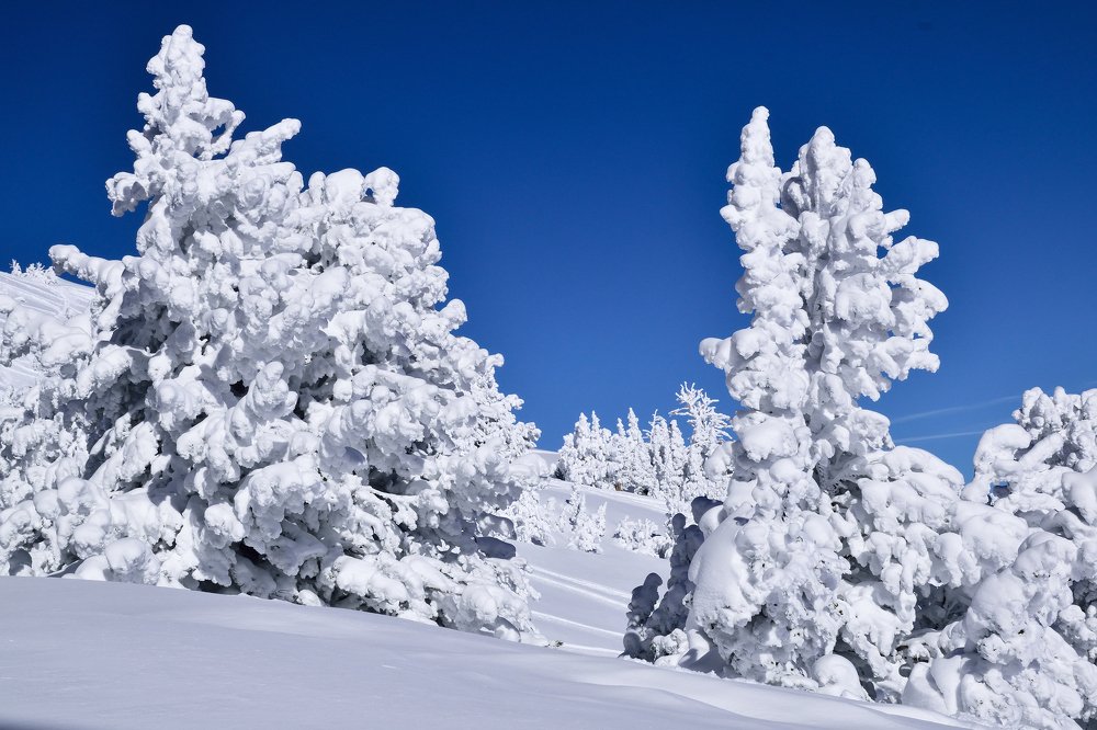 Winter in Utah/ Snowbasin