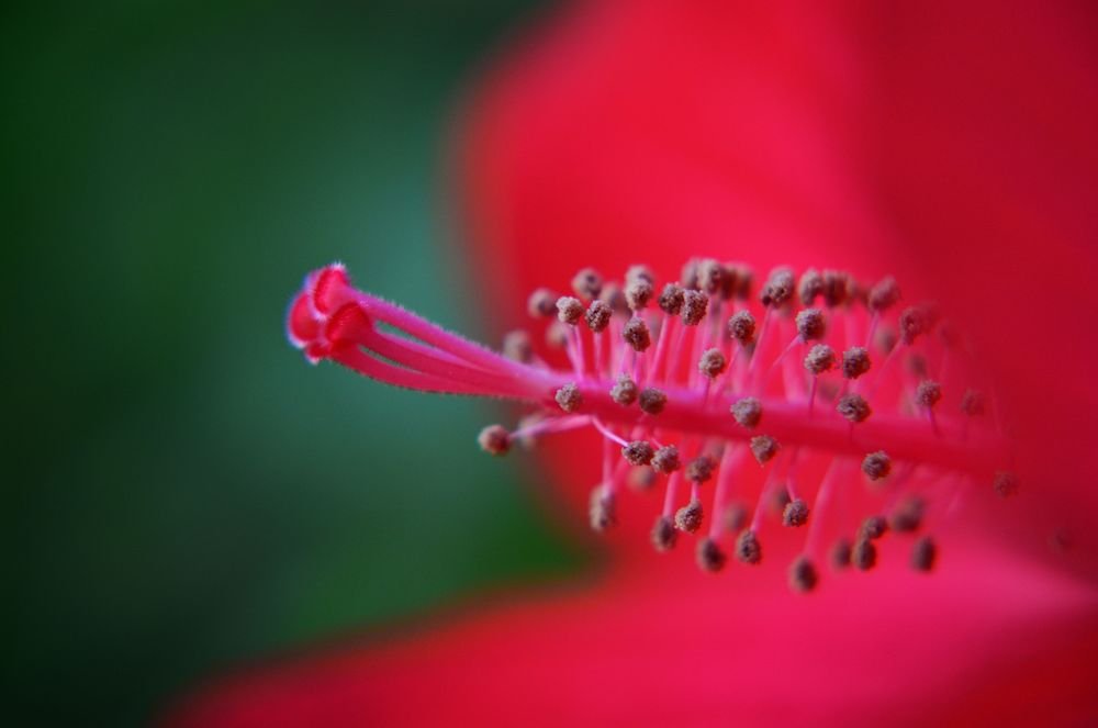 Фотография автора Глеб Рубашкин