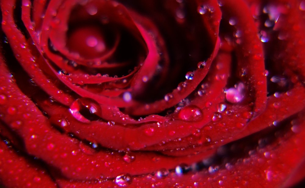 Фотография автора Глеб Рубашкин