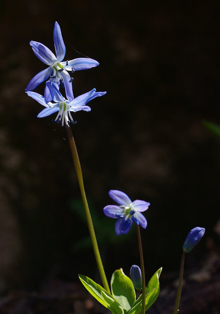 Photograph by Владимир Богданов