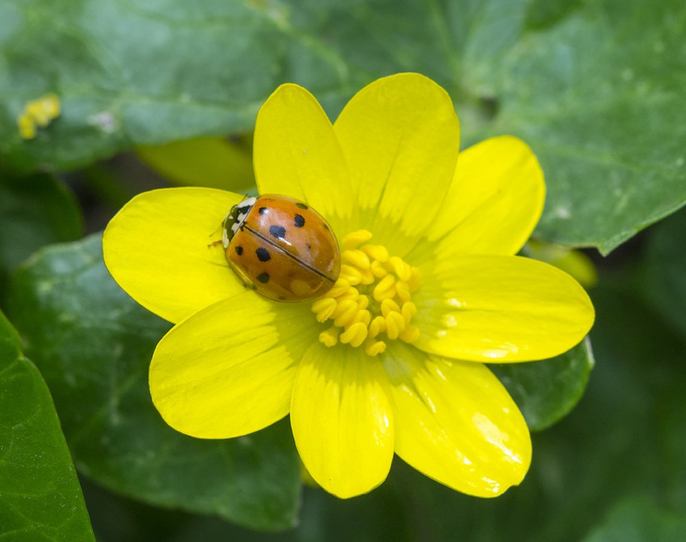Photograph by Владимир Богданов