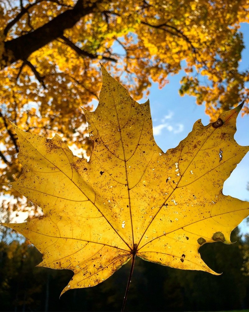 Photograph by Vladislav Pocius