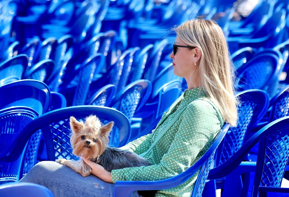 Фотография автора Анатолий Мироненко