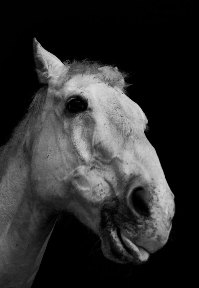 Photograph by Jaimie Pratt