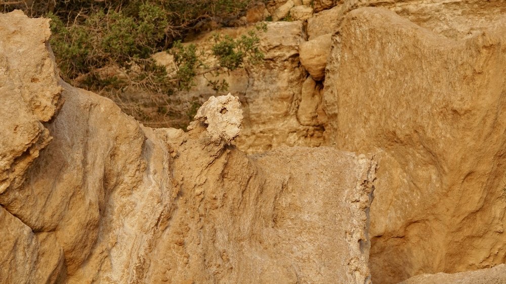 Photograph by Toomas Tõnisalu