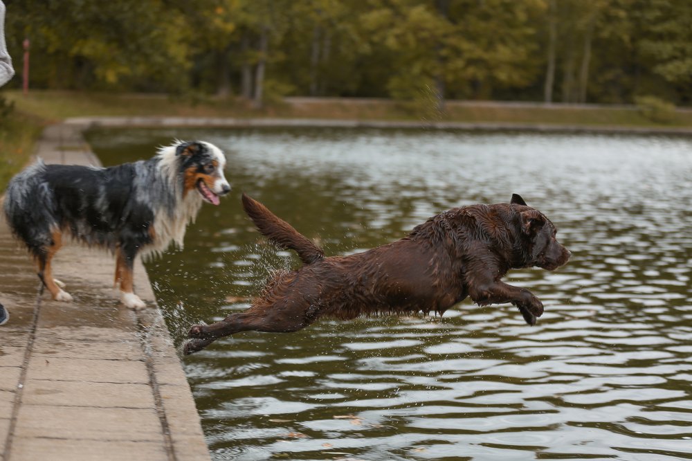 Photograph by Екатерина Морозова