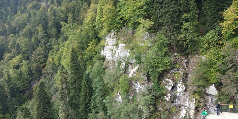 Photo #3619561
