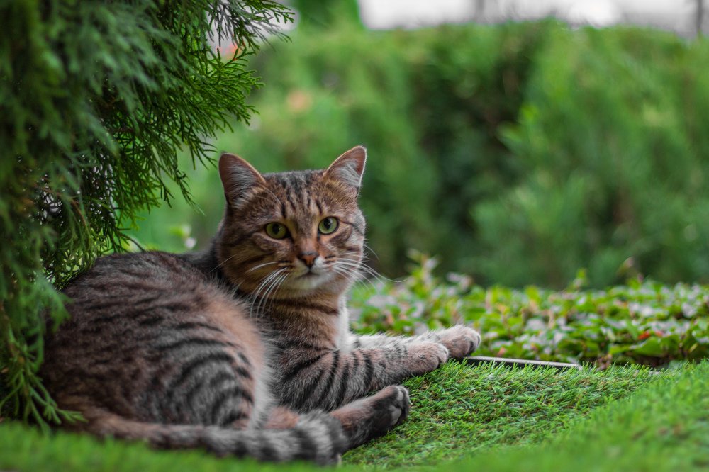 Photograph by Сергей Федоров