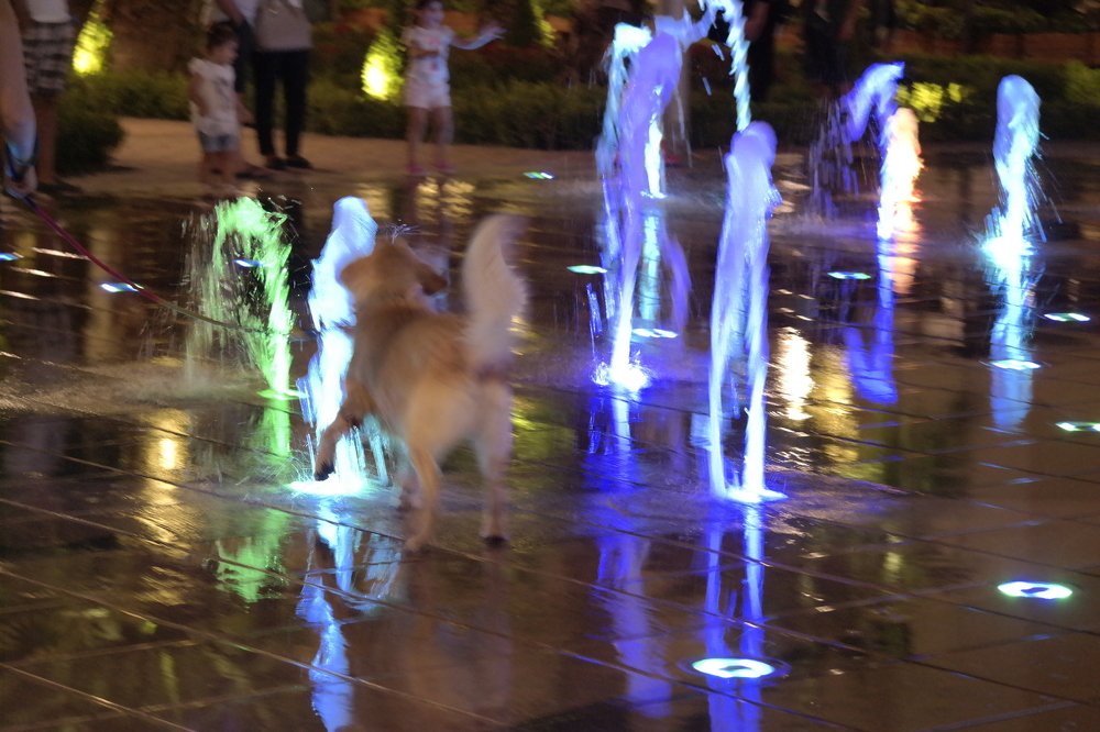 Renkli ışıklarla dans