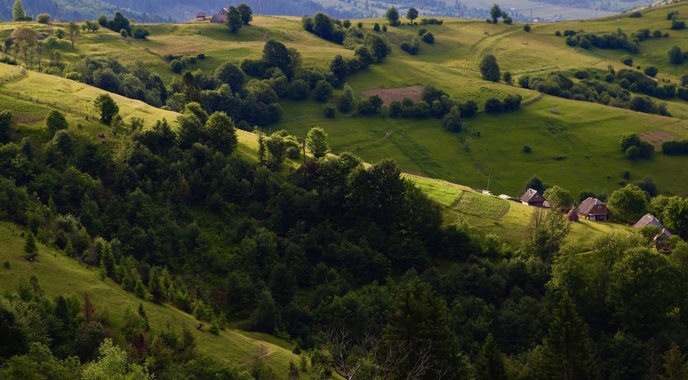 Photograph by Nataliya Mochernyuk