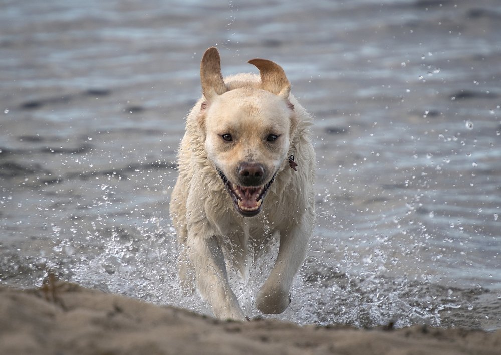 Photograph by Vjacheslav Simanovich